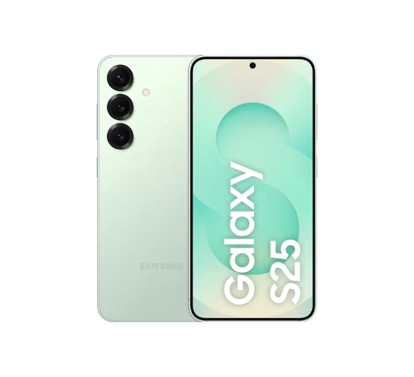 SAMSUNG S25 - 12,128GB  - MINT N