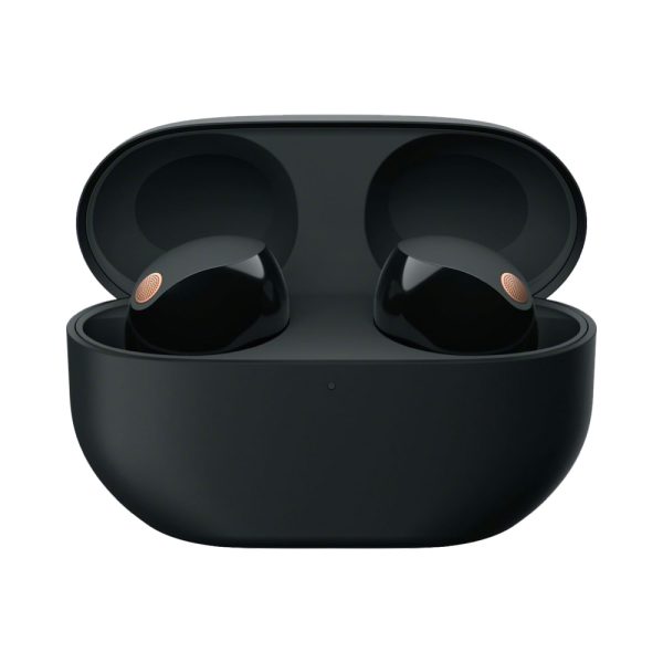 Sony Truly Wireless Noise Canceling Earbuds