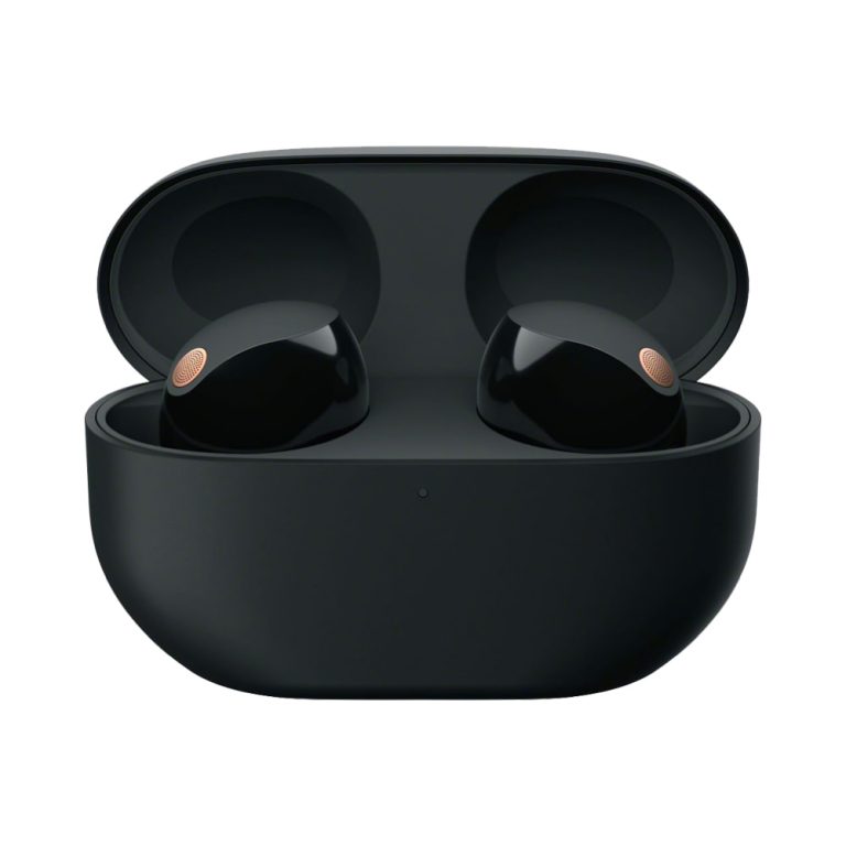 Sony Truly Wireless Noise Canceling Earbuds