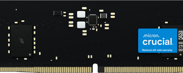 RAM DDR5 5600Mhz 16GB Crucial CT16G56C46U5